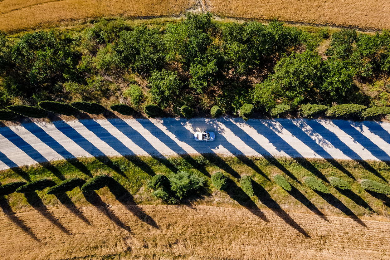 cipressenlaantje toscane