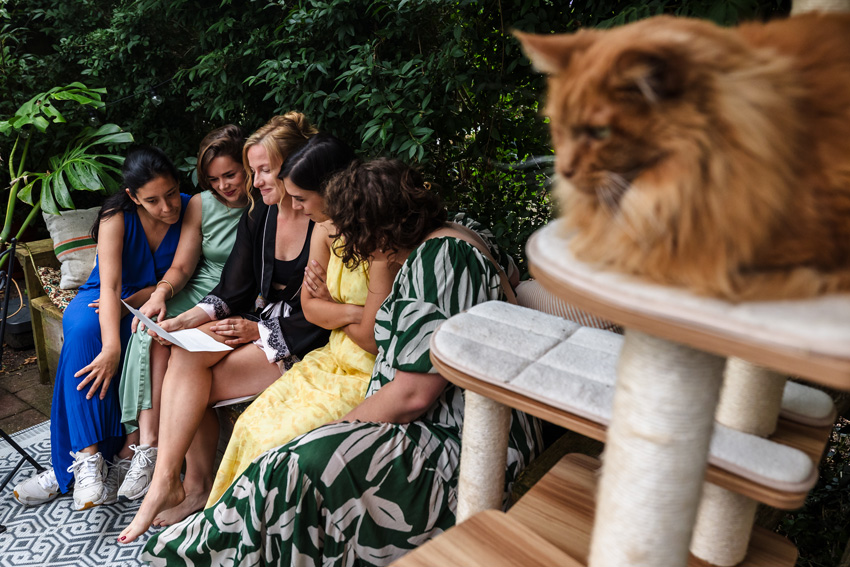 bruid met bruidsmeisjes en kat