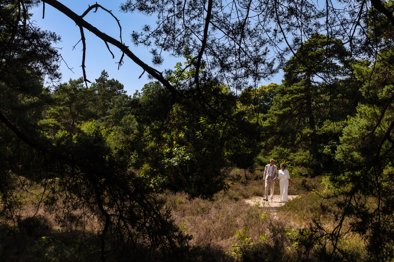 trouwfotograaf drenthe bos