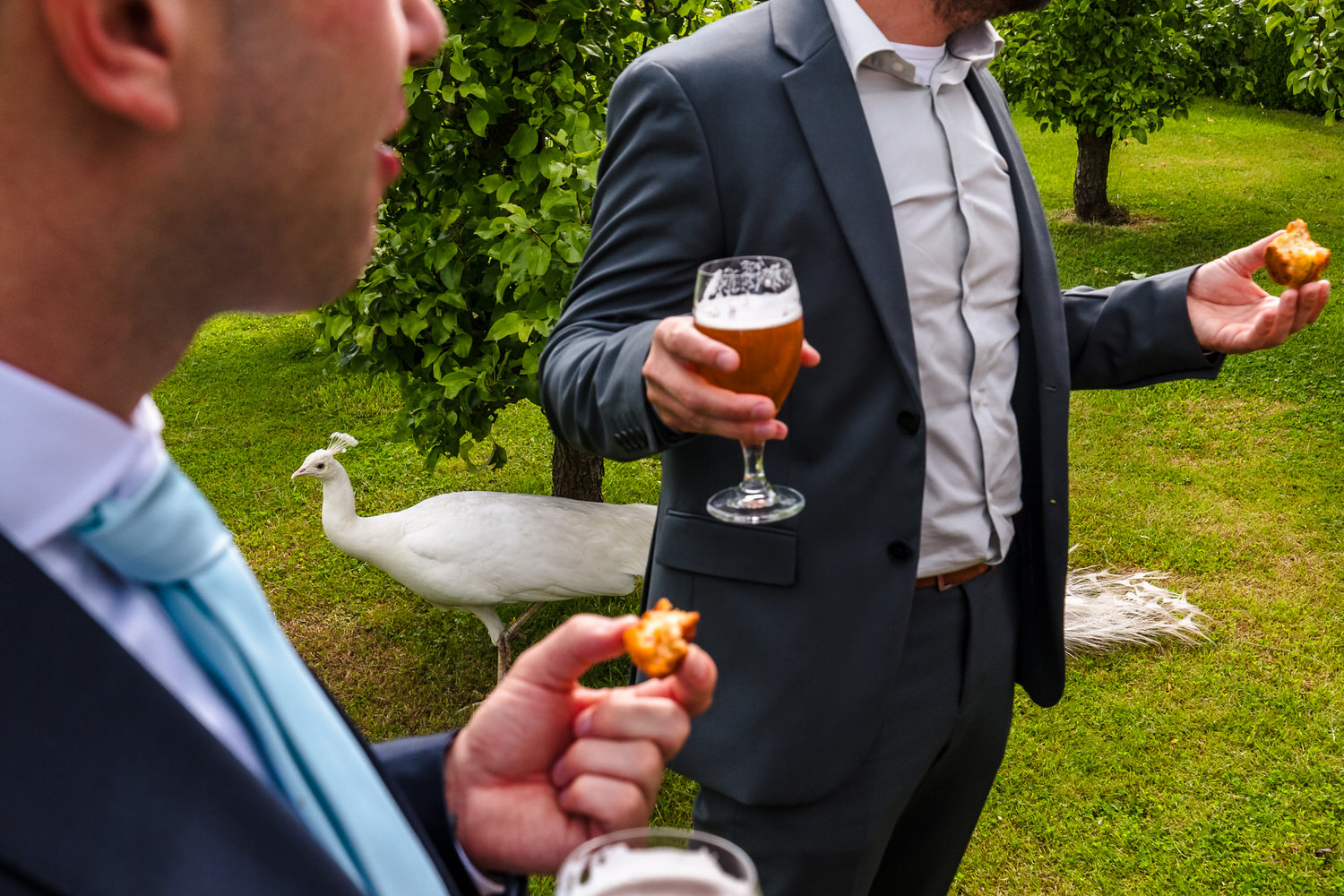 bruiloftsgasten eten een bitterbal en drinken bier, terwijl op de achtergrond een pauw voorbij loopt