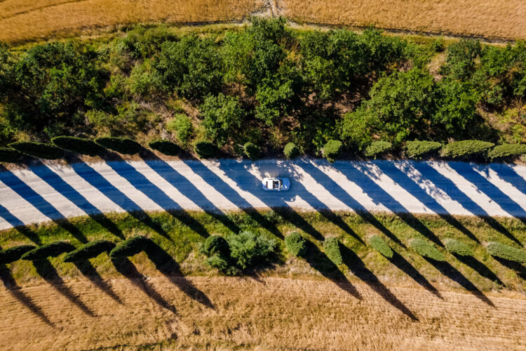 trouwfotograaf italie: fiat 500 op een cipressenlaantje in toscane