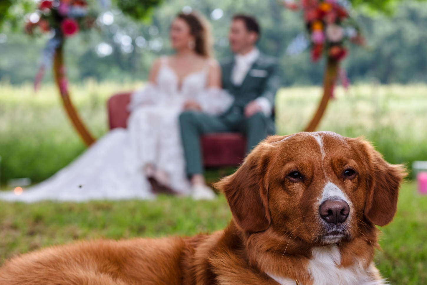 een hond bij een trouwceremonie met het bruidspaar op de achtergrond
