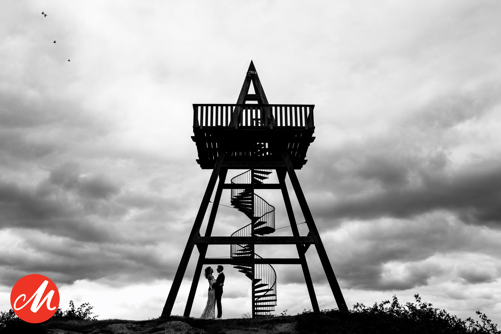award winnende foto bij de masters of wedding photography van een bruidspaar bij een uitkijktoren op de heide in noord-limburg