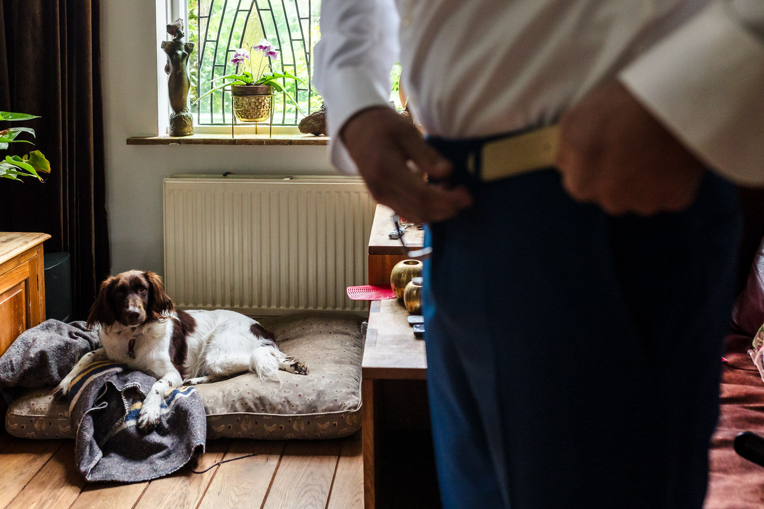hond in de mand met op de voorgrond de bruidegom die zijn riem om doet