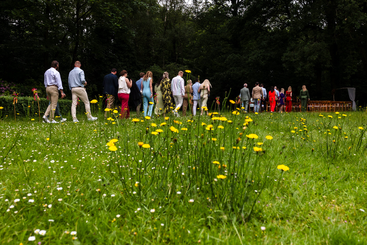 bruiloftsgasten wandelen naar de ceremonieplek onder de bomen op landgoed brakkesteyn in nijmegen